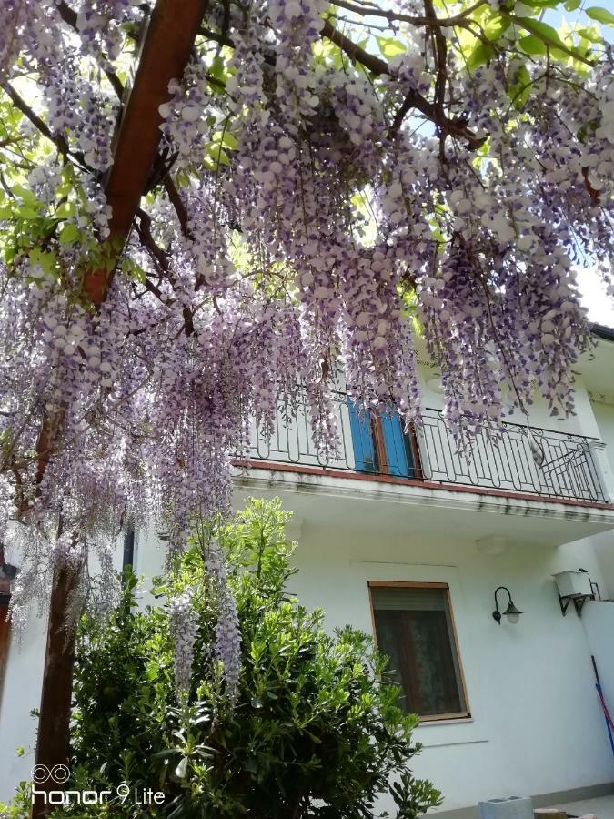 Villa Biancofiore Сан-Джованни-Ротондо Экстерьер фото
